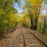 亚洲欧美日韩中文久久 05lv4nh