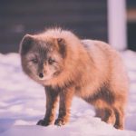 今夕何夕电视剧免费观看完整版 4agb15w2