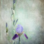 今日吃瓜91吃瓜网头条,今日黑料小团 6l8bwnq