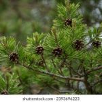 从下面一直亲到上面视频 8bkxxnnwz