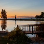 人物动物交互狗文章 8kf822jzyy