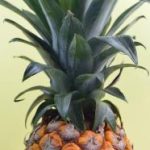 亚洲人成网站77777·C0M b2fomi7