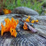 亚洲欧美中文字幕网站大全 d0zn3g5m