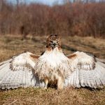 今日黑料吃瓜爆料,今日吃瓜热门吃瓜 daqm2