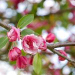 亚洲精品人成网线在线播放VA pw573j4