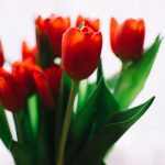 日韩AV无码中文无码电影 r3829r9vz