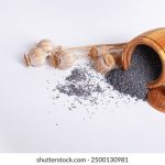 人成午夜免费视频无遮播放 rbqa4