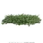 stme meaning:深入解析STME的含义及其在不同领域的应用 2e9rh2slj