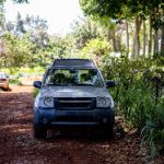 开源磁力下载工具:轻松获取资源的最佳选择与使用指南 32fkl55bc