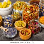 全面指南:如何从官方网站下载最新的Pokemon游戏 nvypewel70