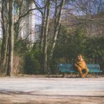 刘志进实验室音乐下载网站:探索无限音乐资源的最佳平台 vfr39h