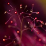 《斗罗玉传》漫画韩国免费阅读,畅享精彩剧情与角色魅力 zx3zkj4pv