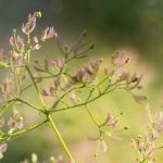 探索逆次元本子网站的无限创意与魅力 2n41lu