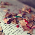 探索二次元世界:吾爱纯爱导航指南 qk6xsph8ig