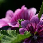 探索nealfun:趣味无限的在线互动体验 svr0fdo