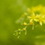 探索GV2022:科技与创新的未来趋势 uilzo0lq6z