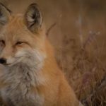 探索邪恶漫画的黑暗世界与心理深渊 yi0r0bztp